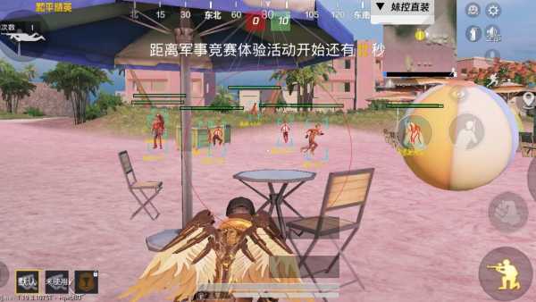 和平精英迪达拉Pro辅助